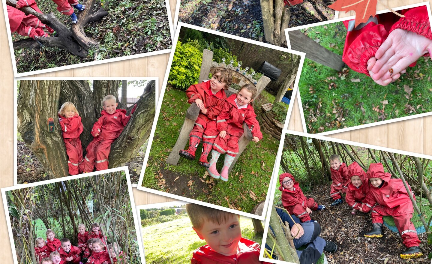 Image of Forest School Fun