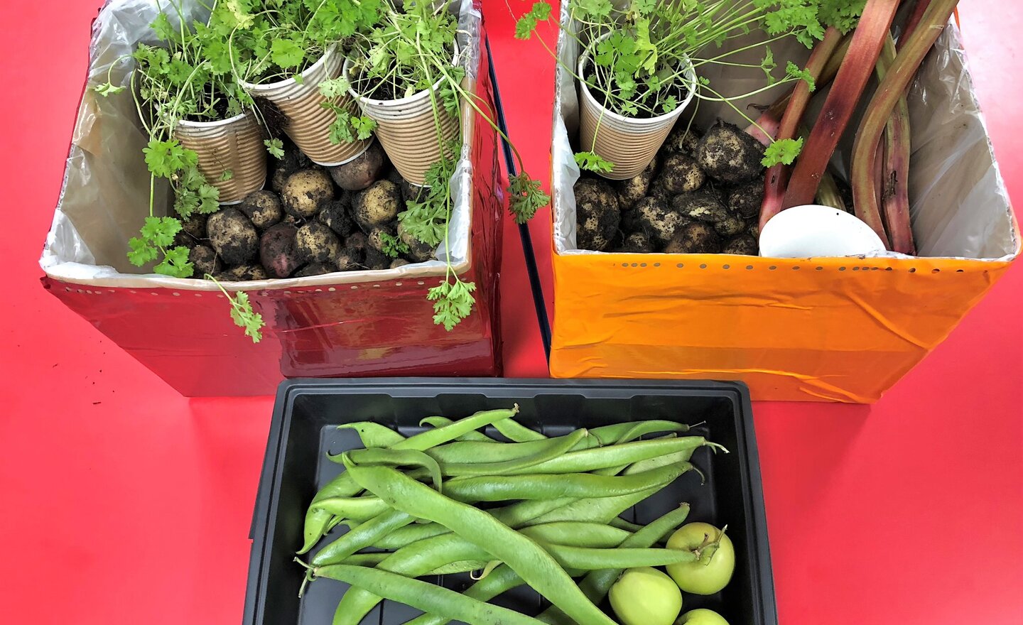 Image of Harvest Service