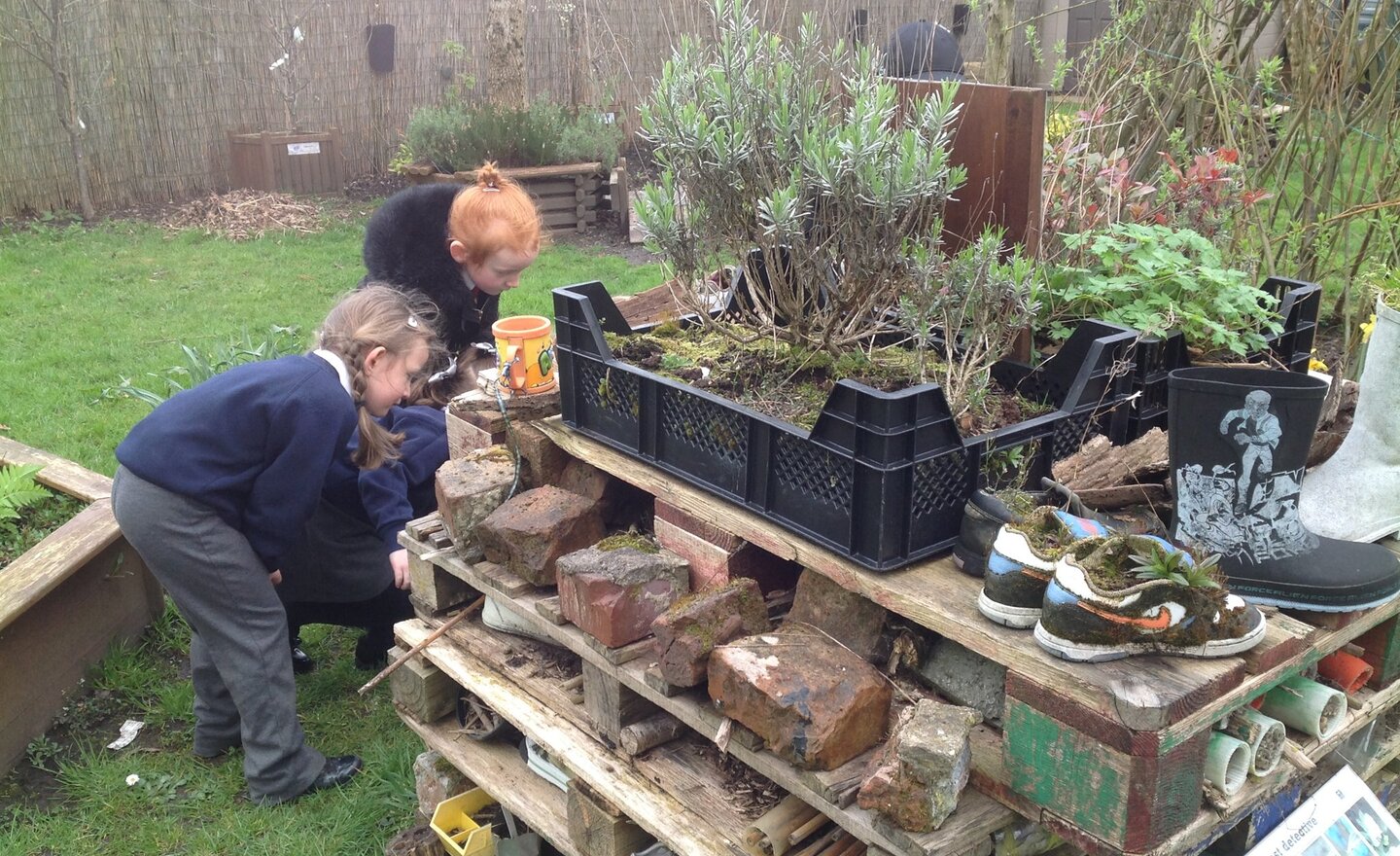 Image of The Eco garden