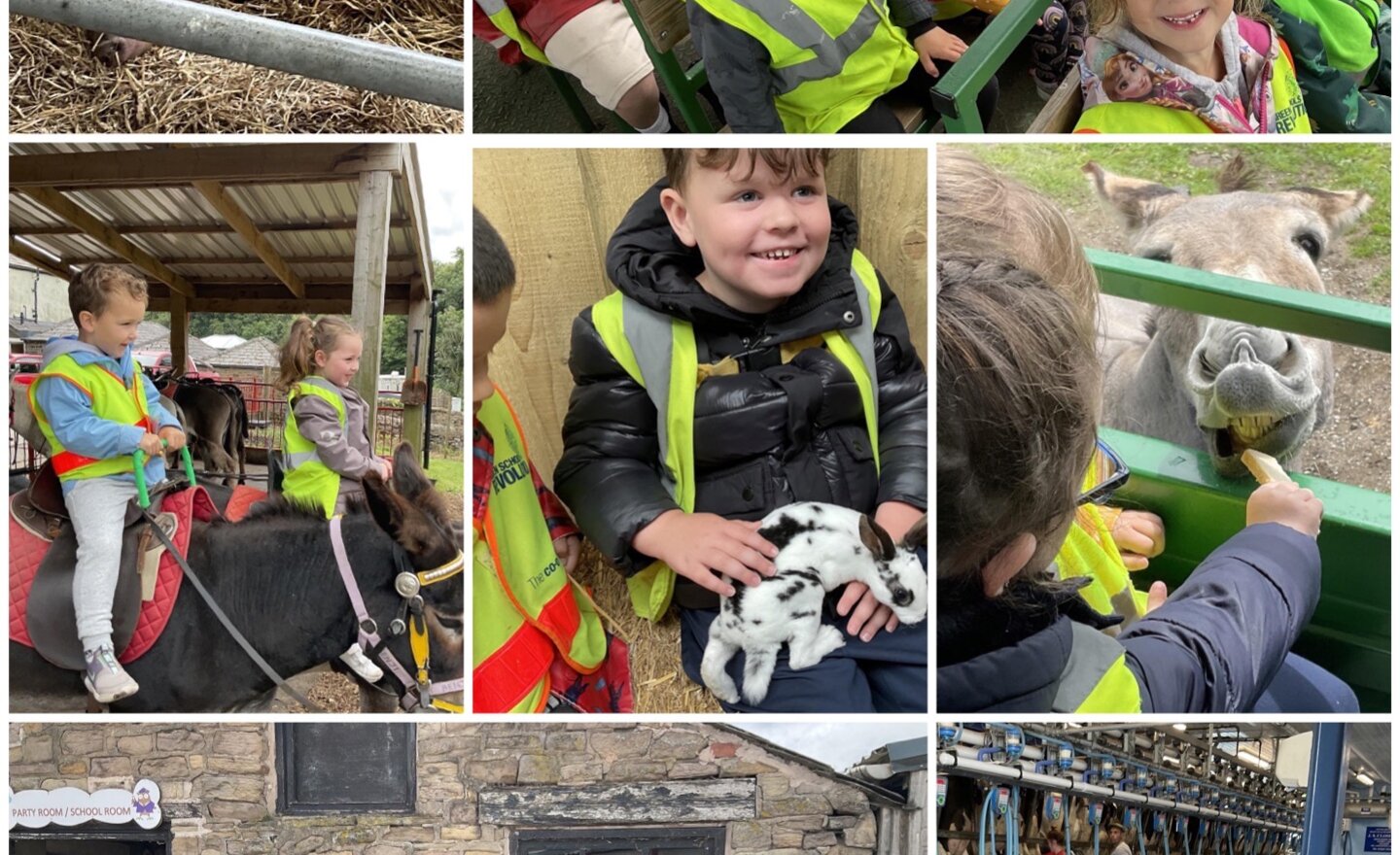 Image of Our Class Trip to Smithills Open Farm 