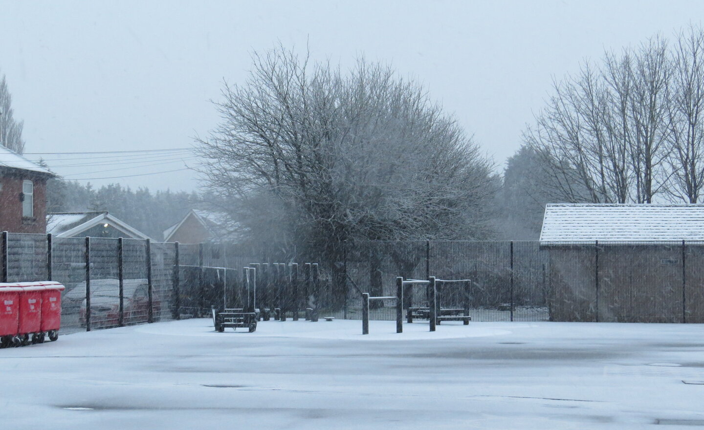 Image of Early Morning Snow