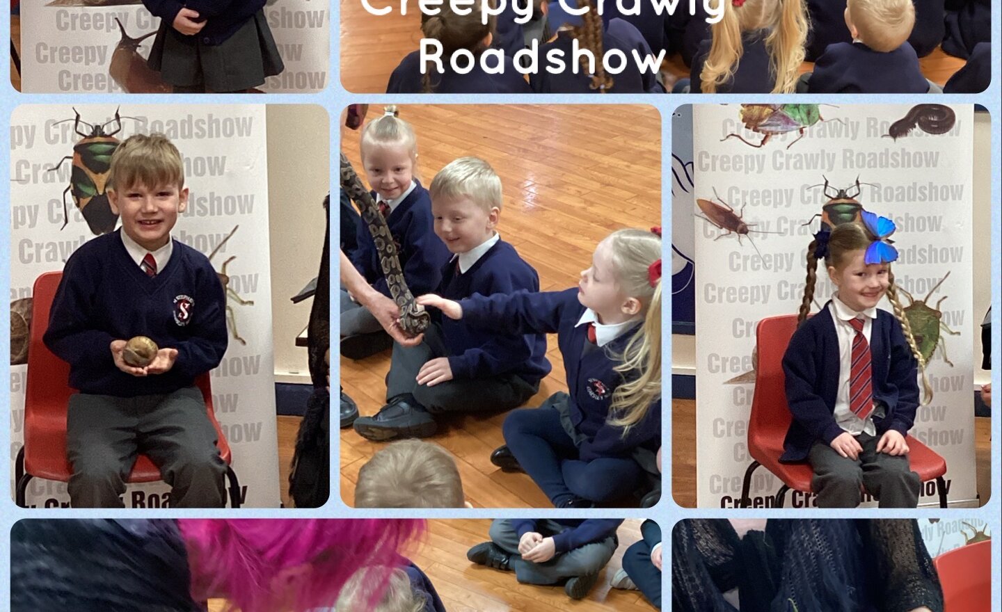 Image of Creepy Crawly Roadshow