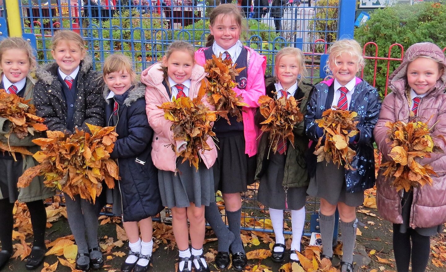 Image of The Faces Behind The Leaves