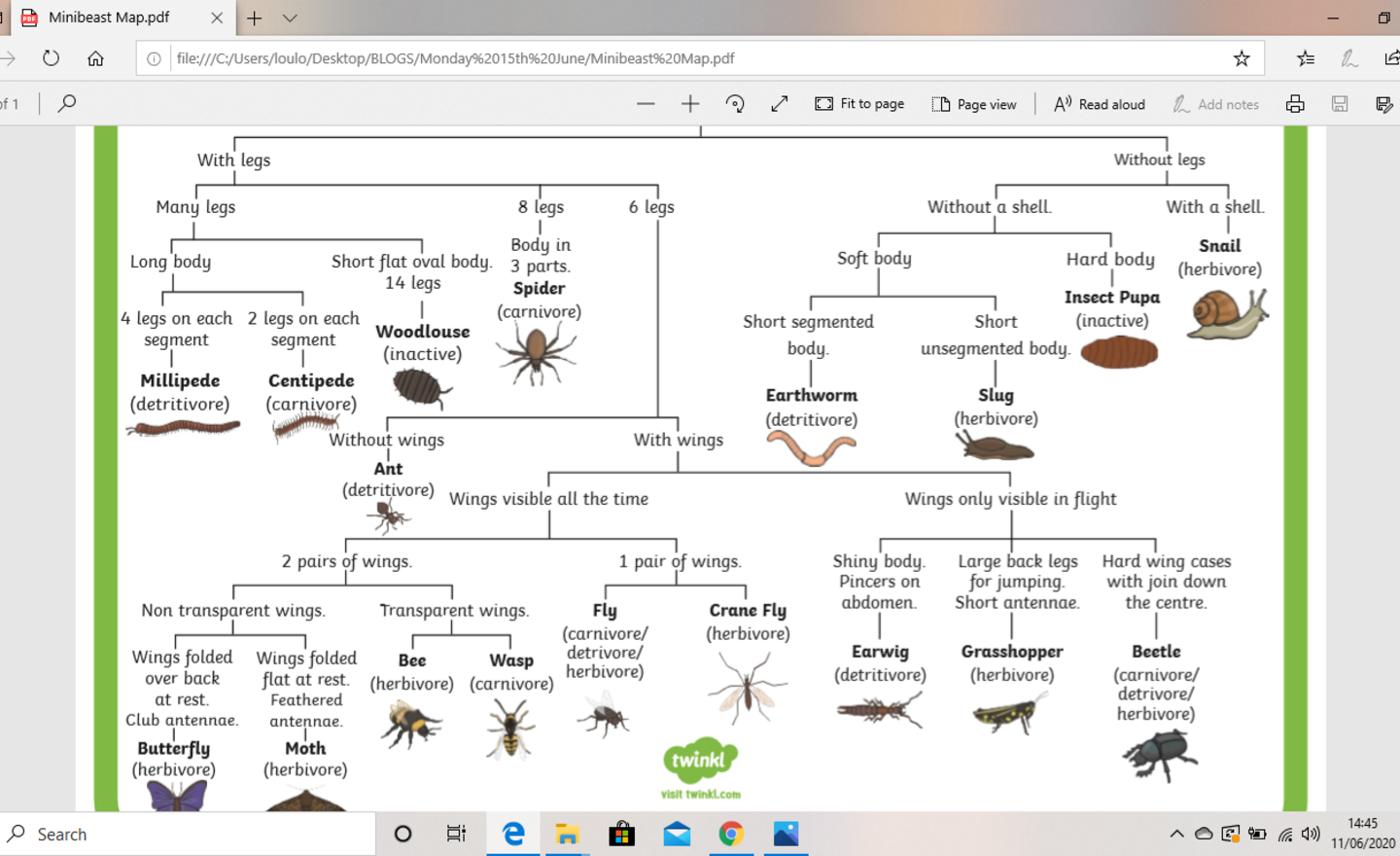 Image of Minibeast chart