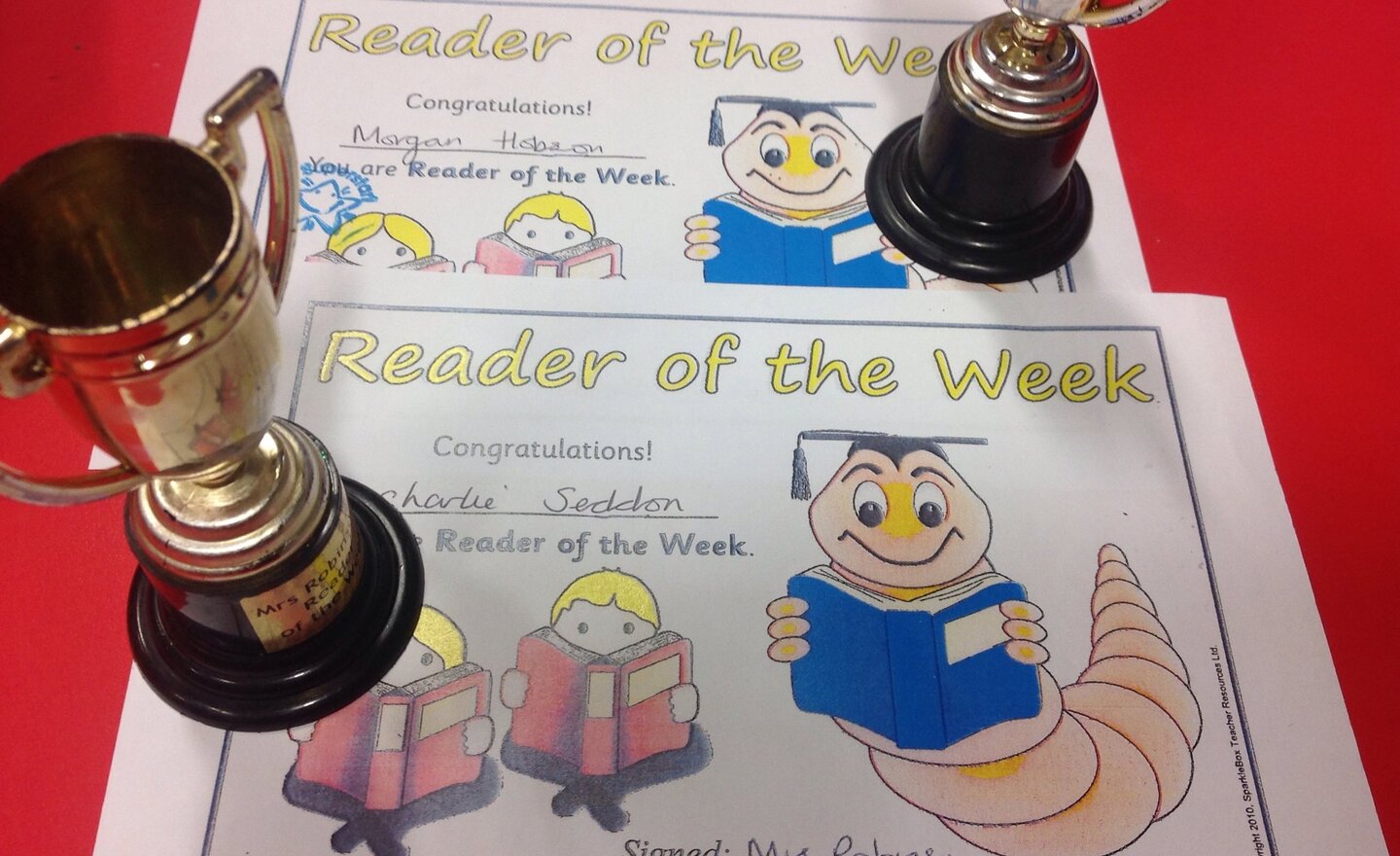 Image of Mrs Robinson's Reader of the Week