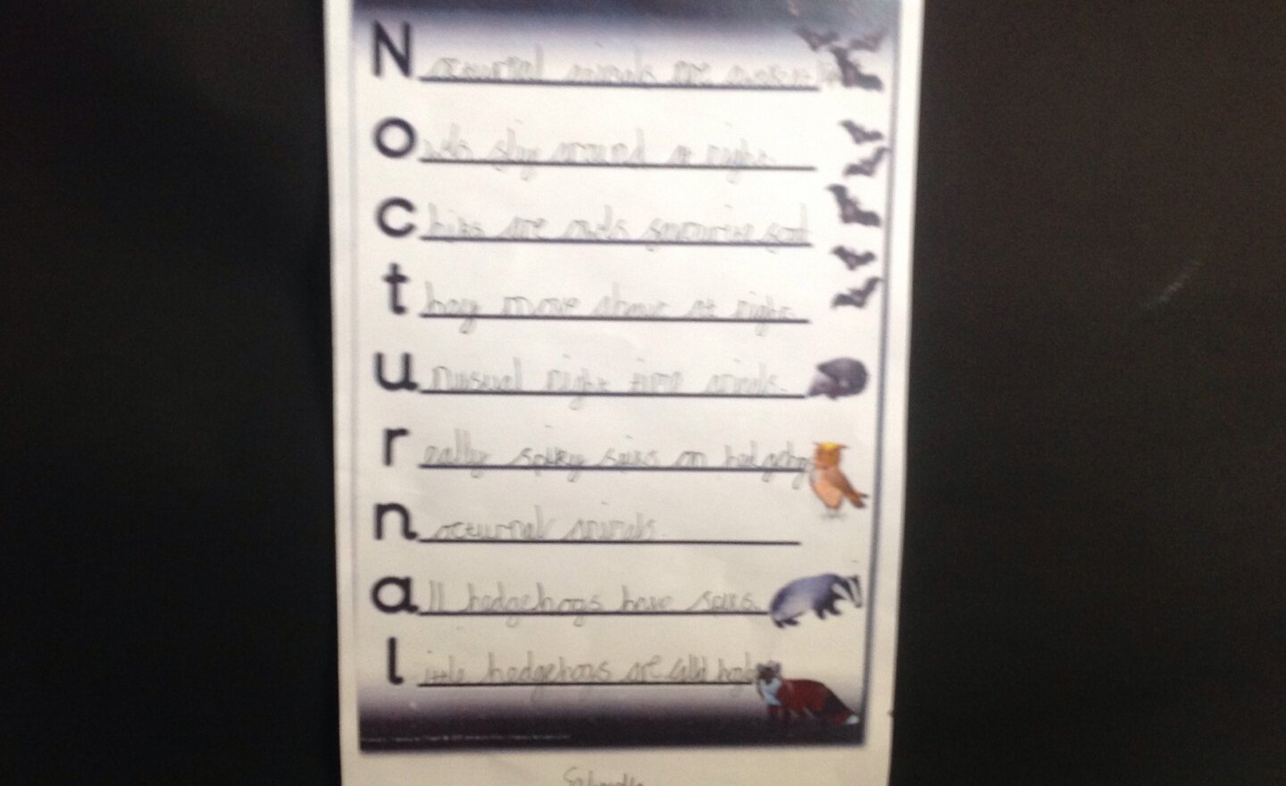 Image of Nocturnal Acrostic Poems