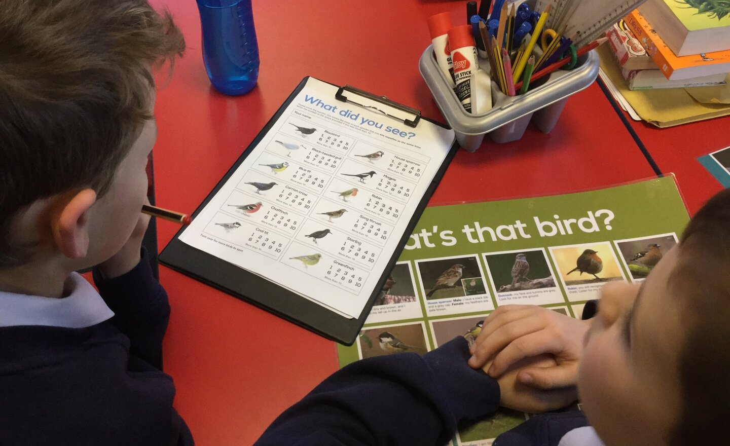 Image of RSPB Big Schools' Birdwatch