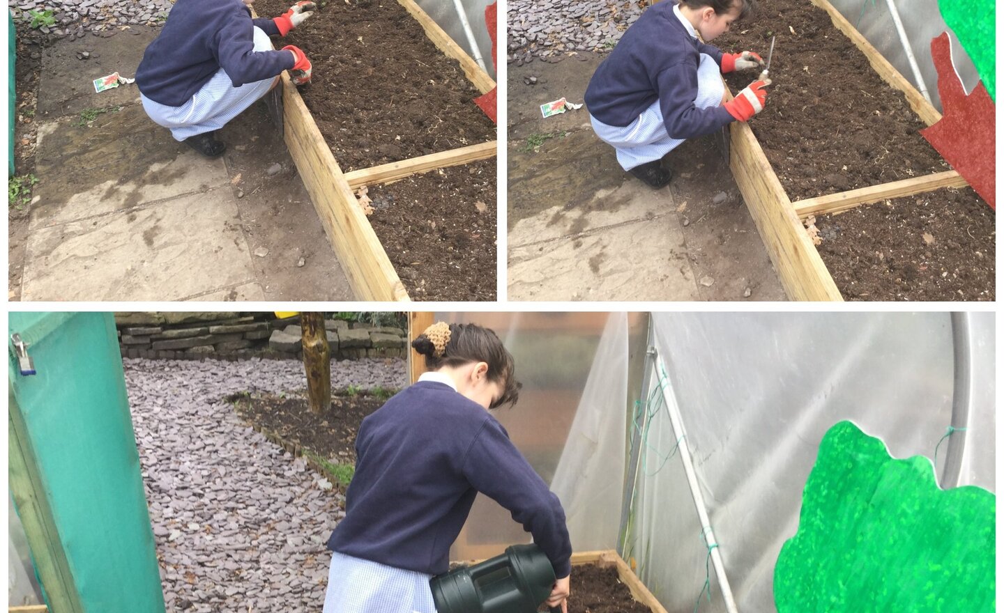 Image of Planting For Y6