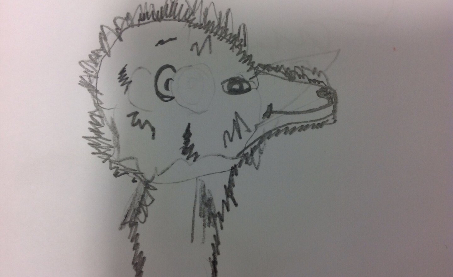 Image of Marvellous Meerkat sketches