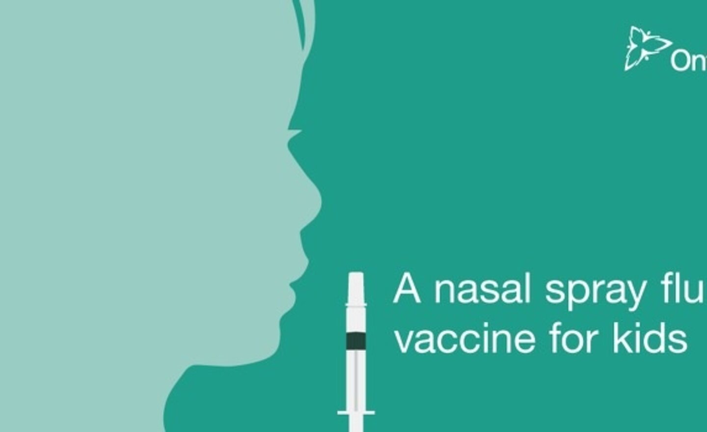 Image of Nasal Flu Spray Administered