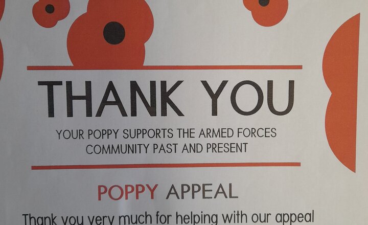 Image of Poppy Appeal