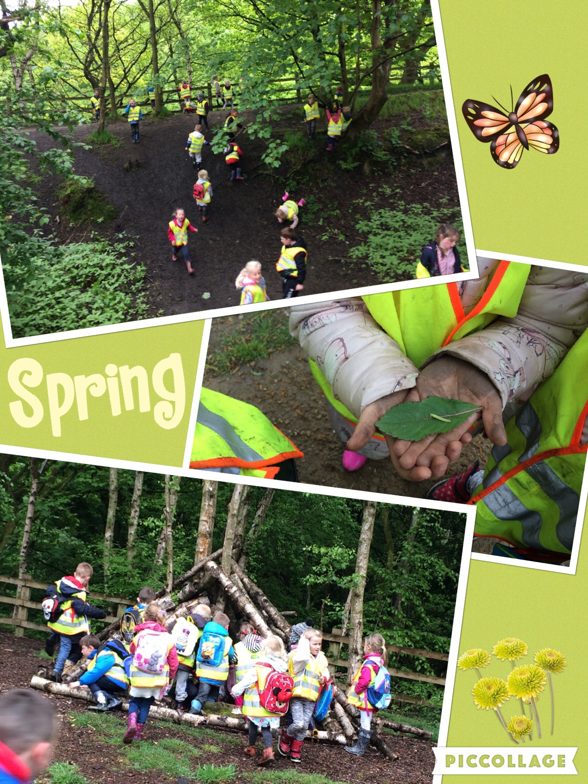 Image of Year 1's Spring Walk