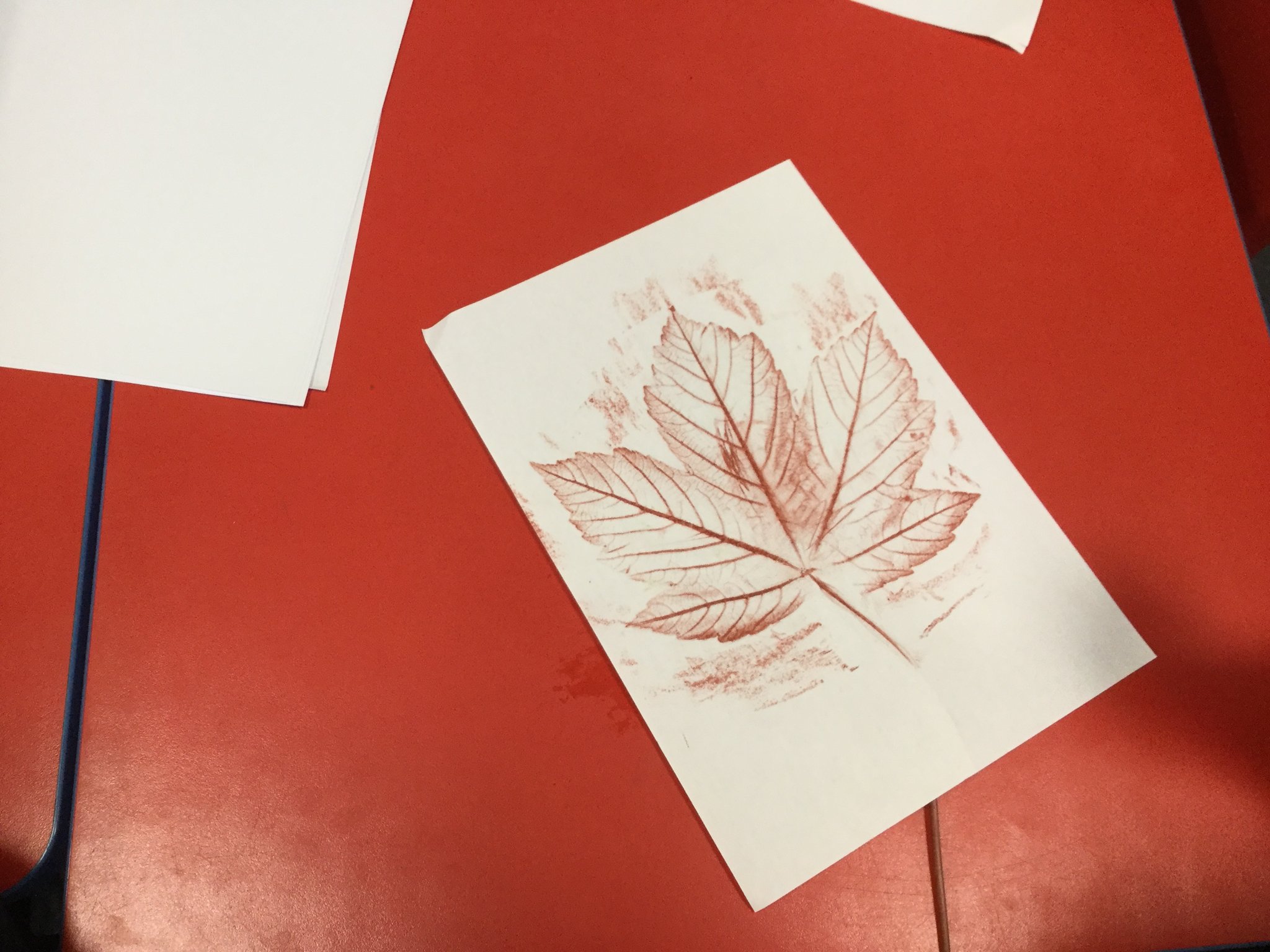 Image of Leaf Rubbing