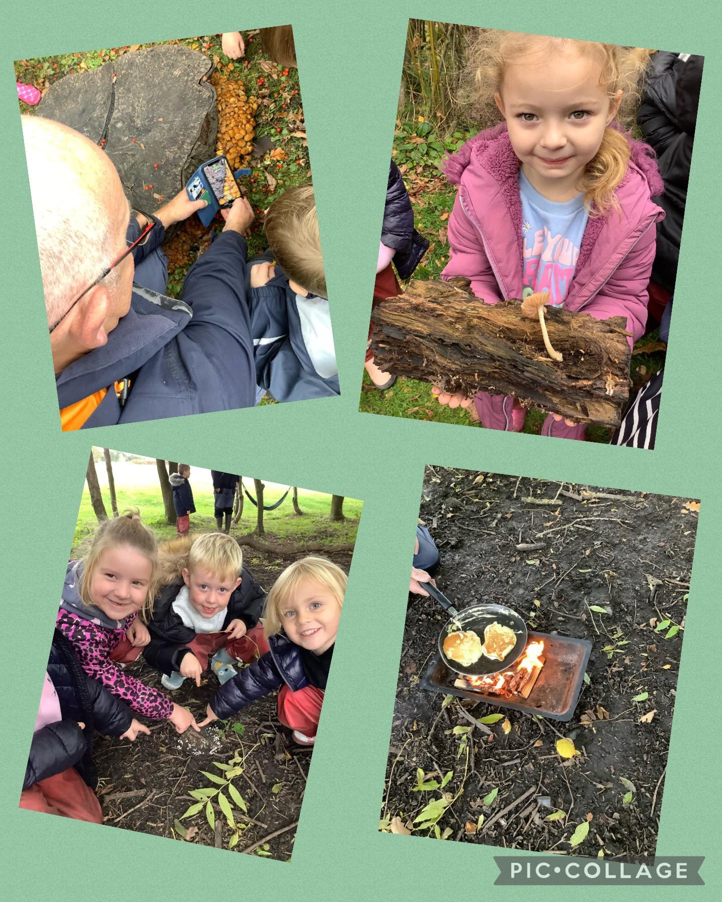 Image of Fun filled forest school afternoon searching for funghi