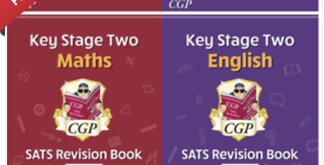 Image of Revision Books