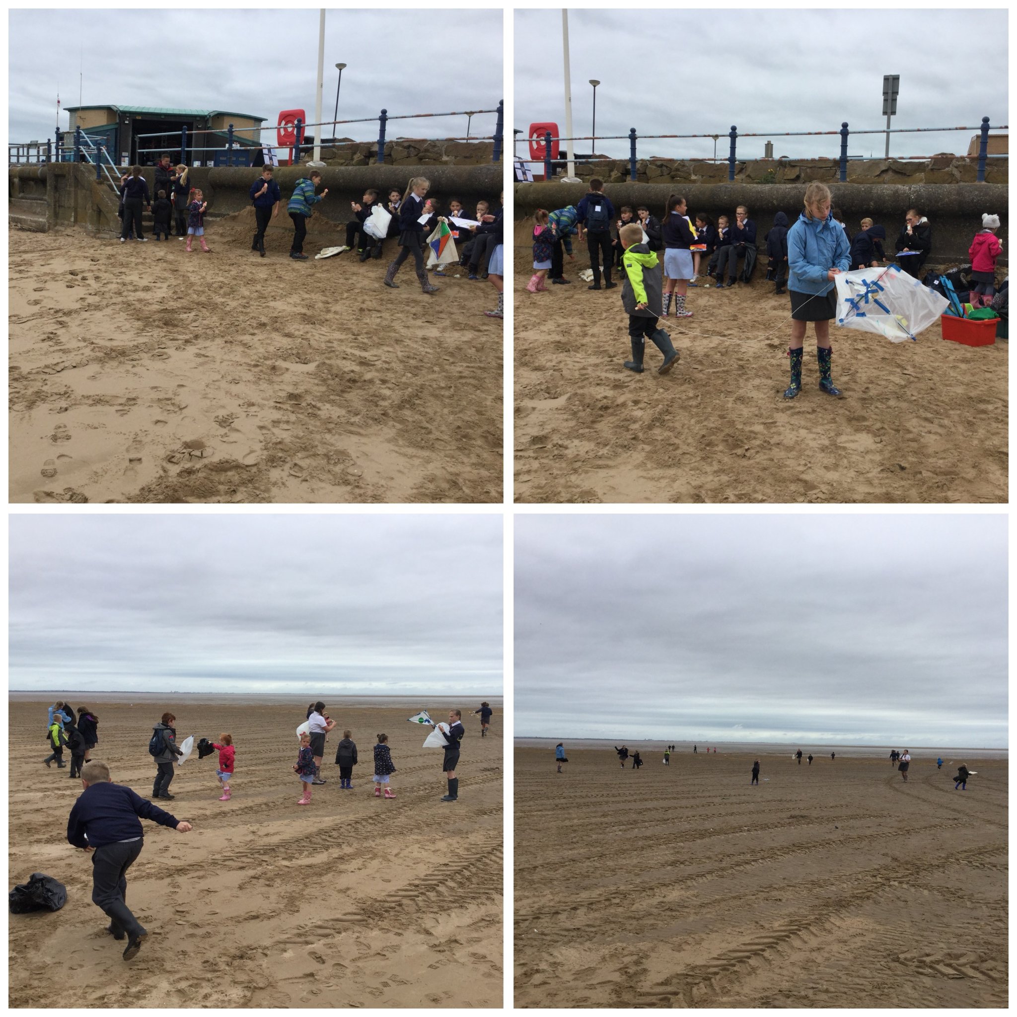 Image of Fun on the Beach