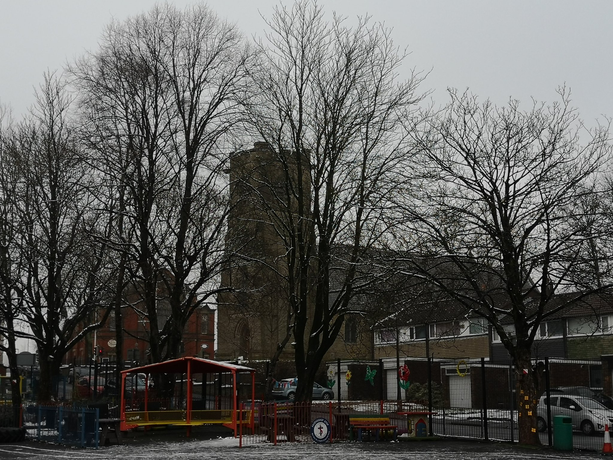 Image of Winter Trees