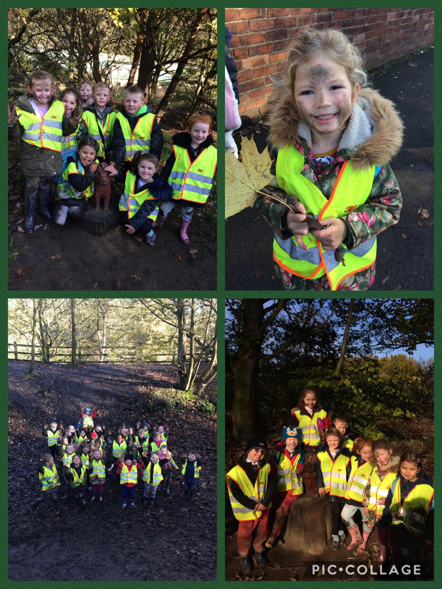 Image of Year 1's Autumn Walk