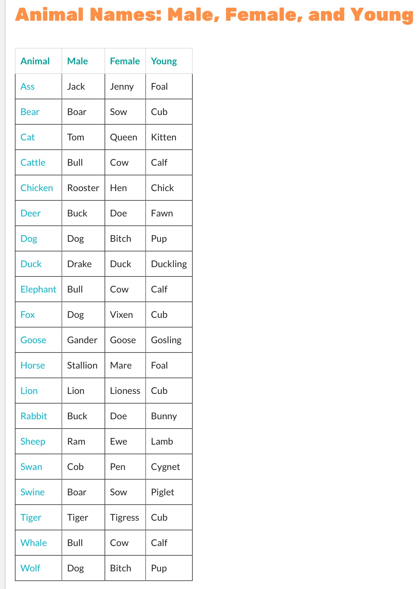 Image of Male and female animals and their young