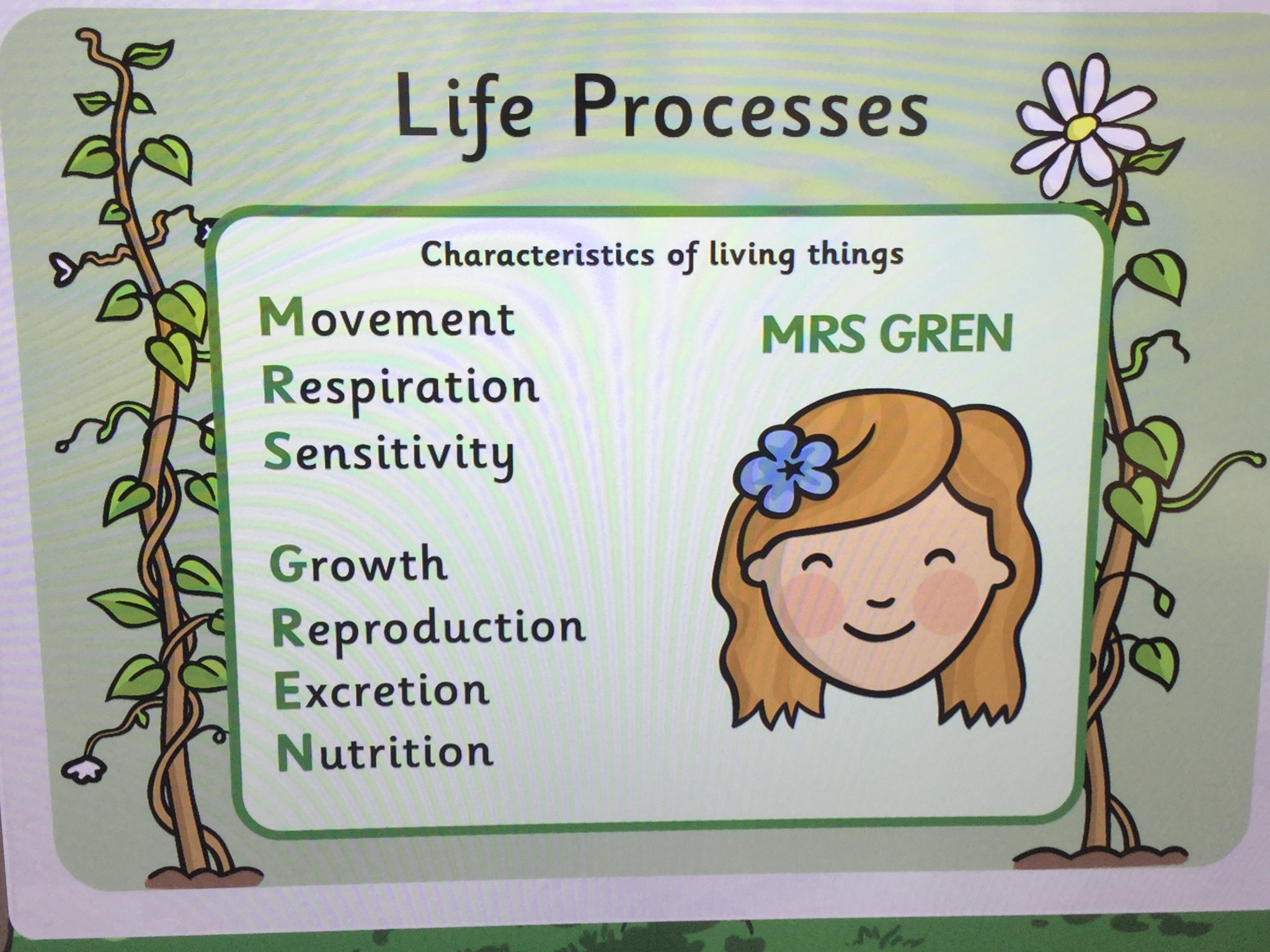 Image of MRS GREN