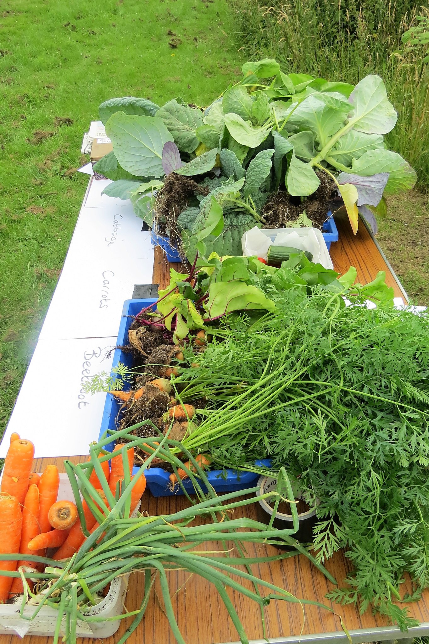 Image of Long Jump, Javelin and Fresh Veg!