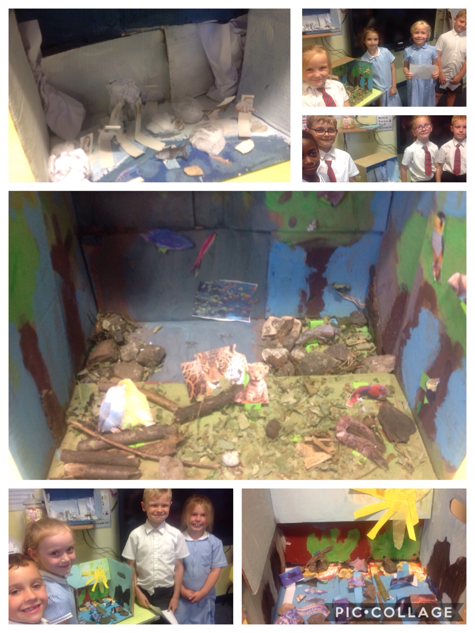 Image of Presenting our dioramas 