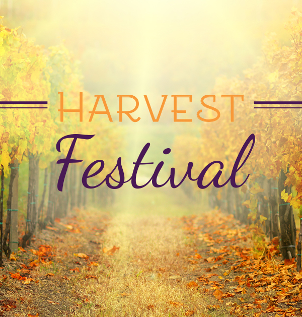 Image of Harvest festival contributions