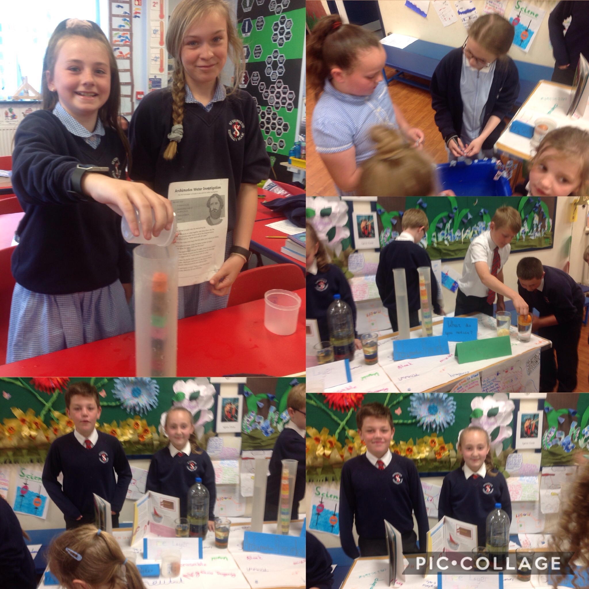 Image of Science fayre success