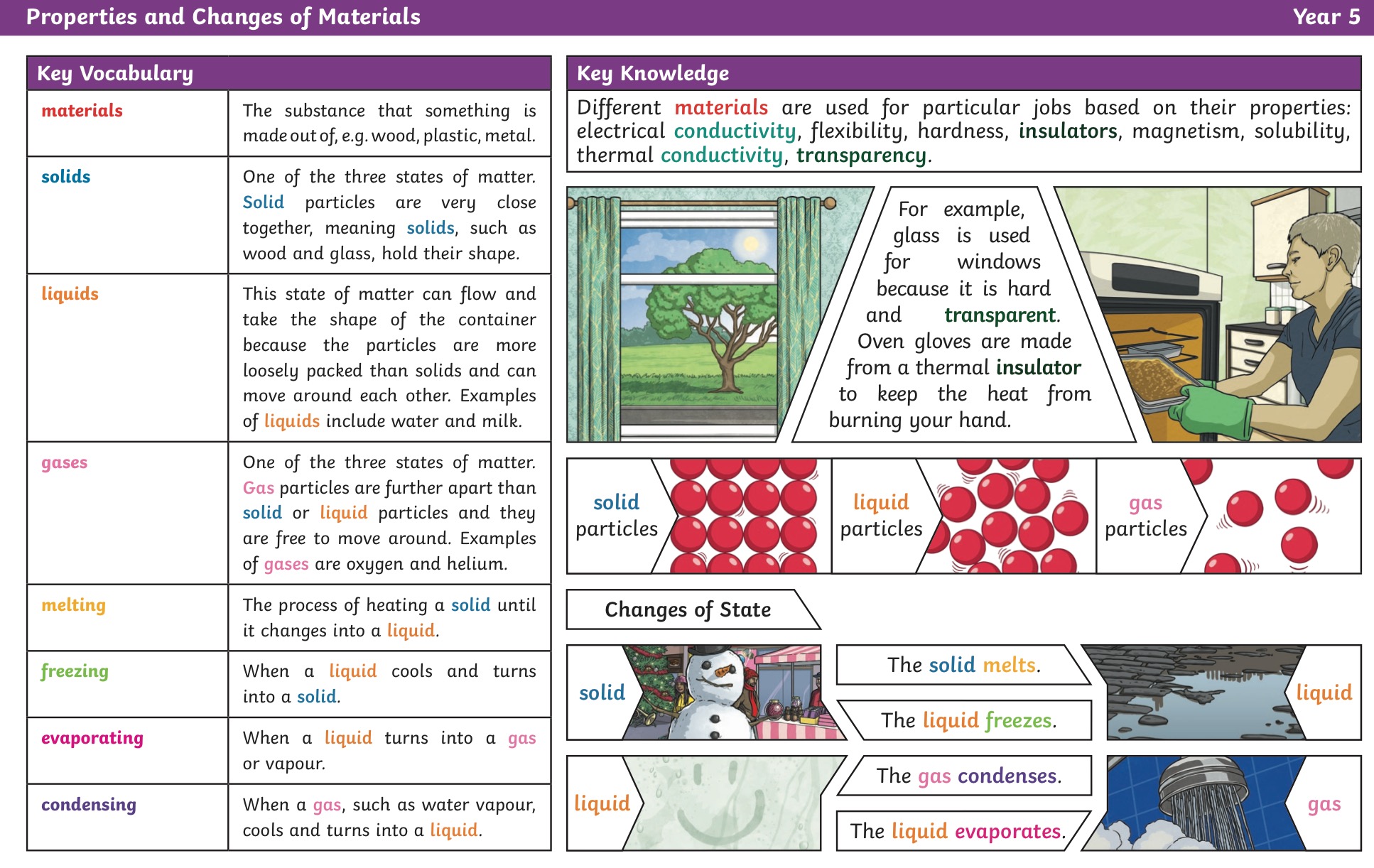 Image of New term = new vocabulary focus