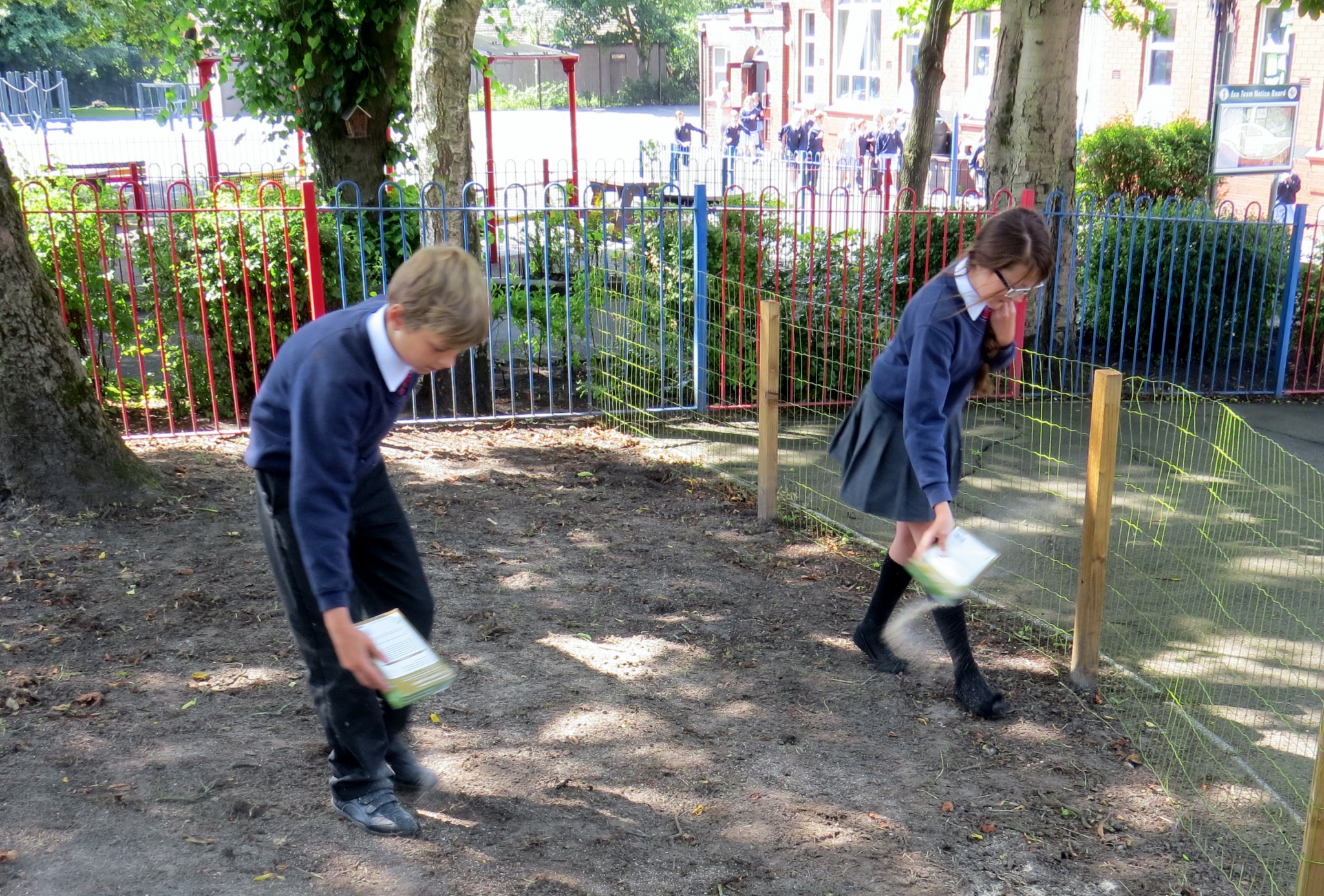 Image of Sowing the Seeds