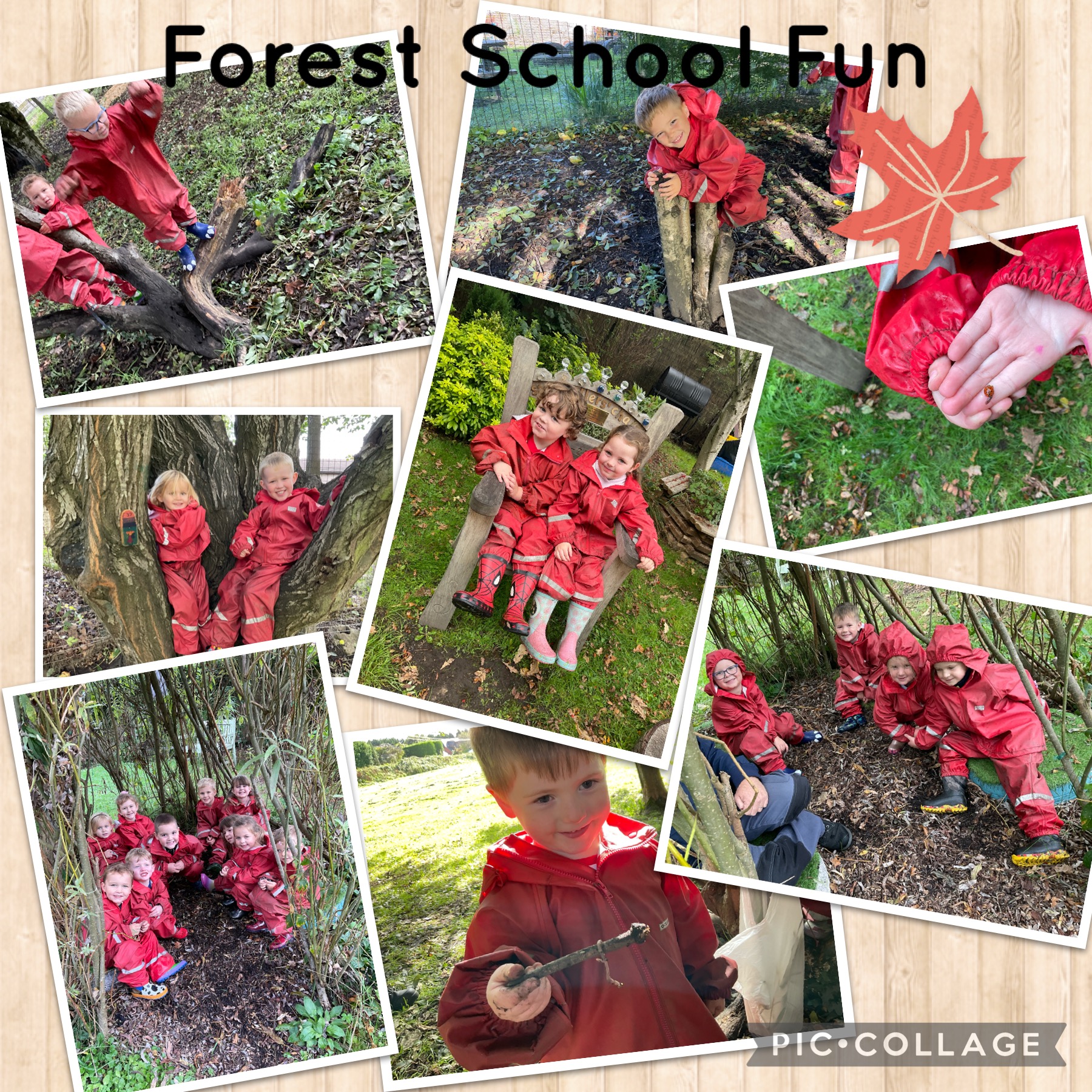 Image of Forest School Fun