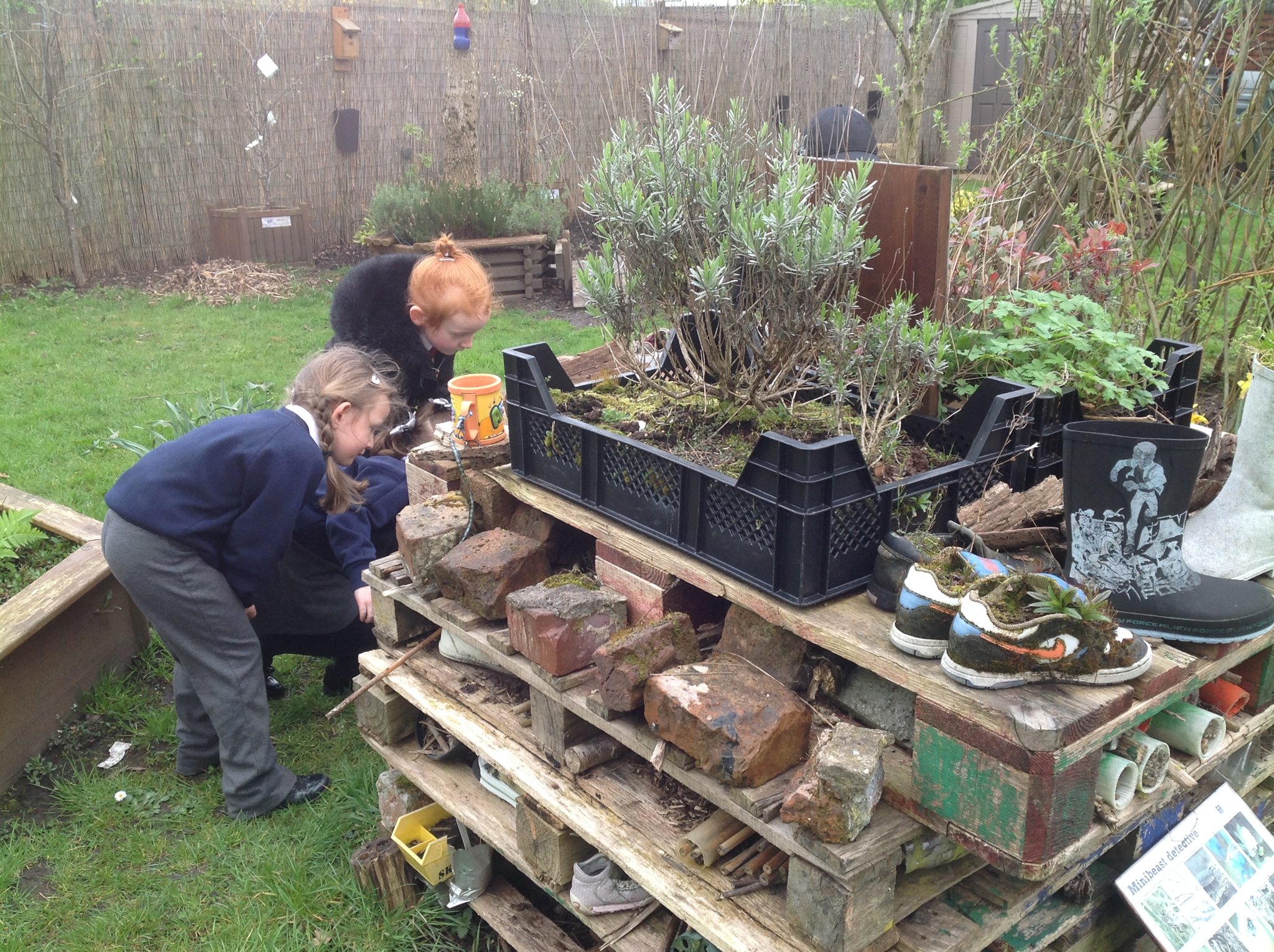 Image of The Eco garden