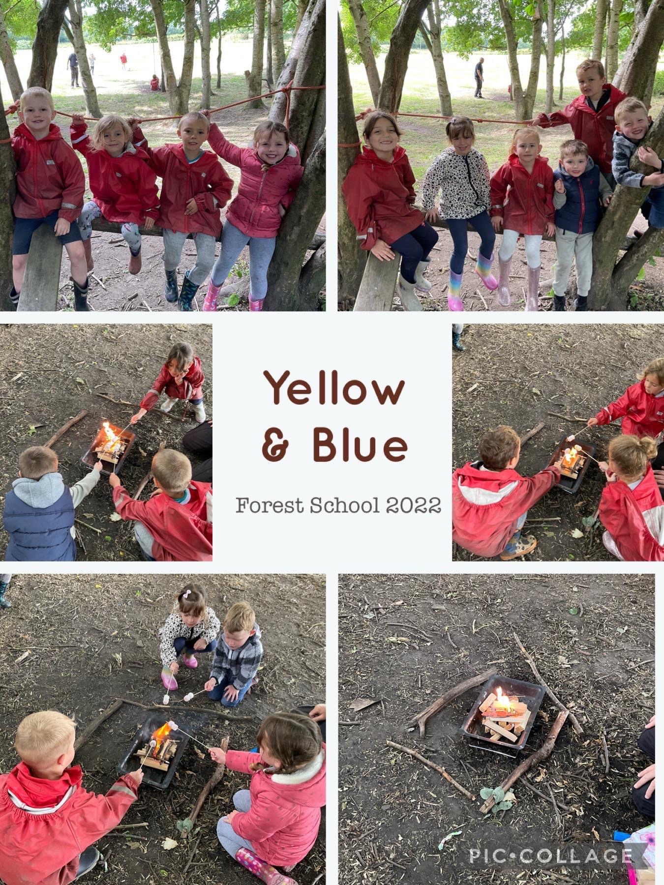 Image of Forest School Campfire