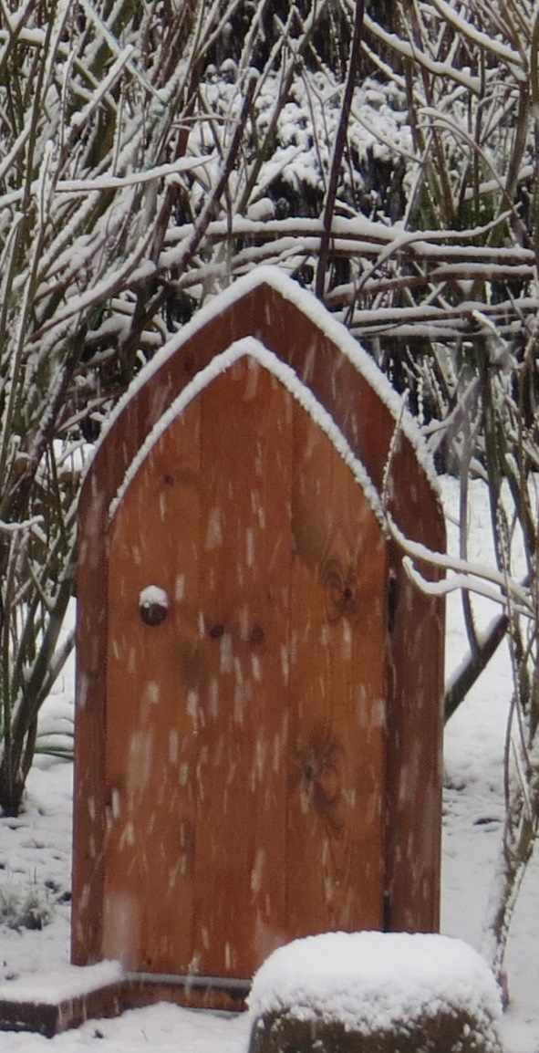 Image of The Magic Door