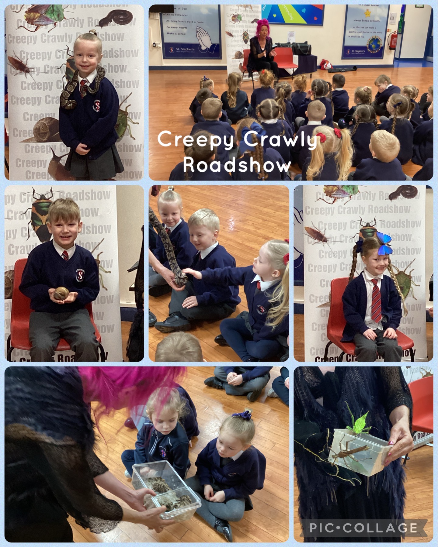 Image of Creepy Crawly Roadshow