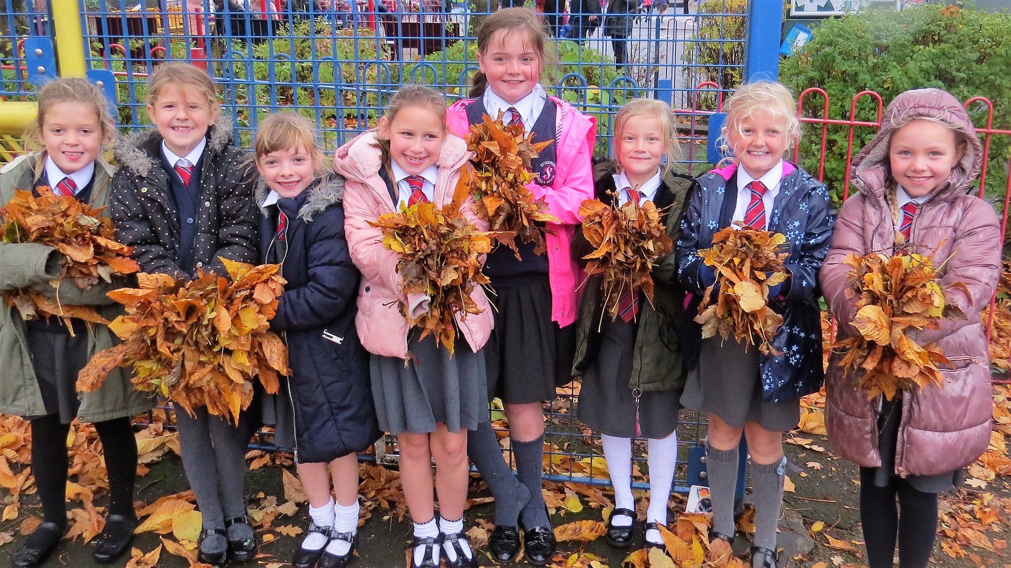 Image of The Faces Behind The Leaves