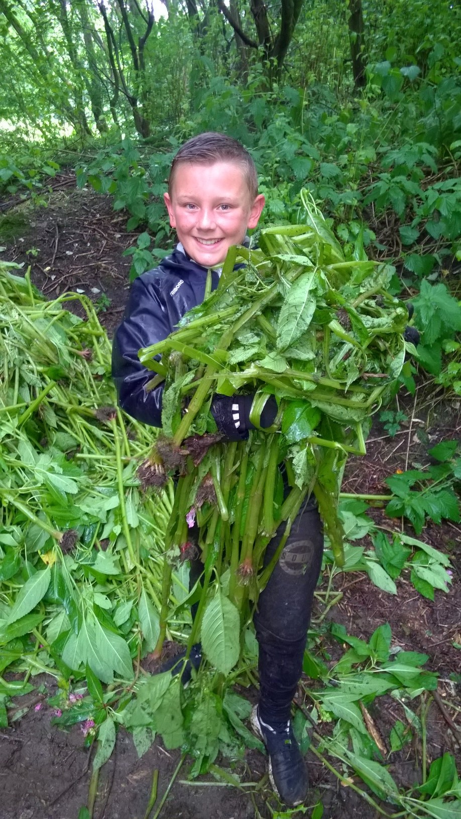 Image of Year 6 Eco Warriors 10 - Himalayan Balsam 0