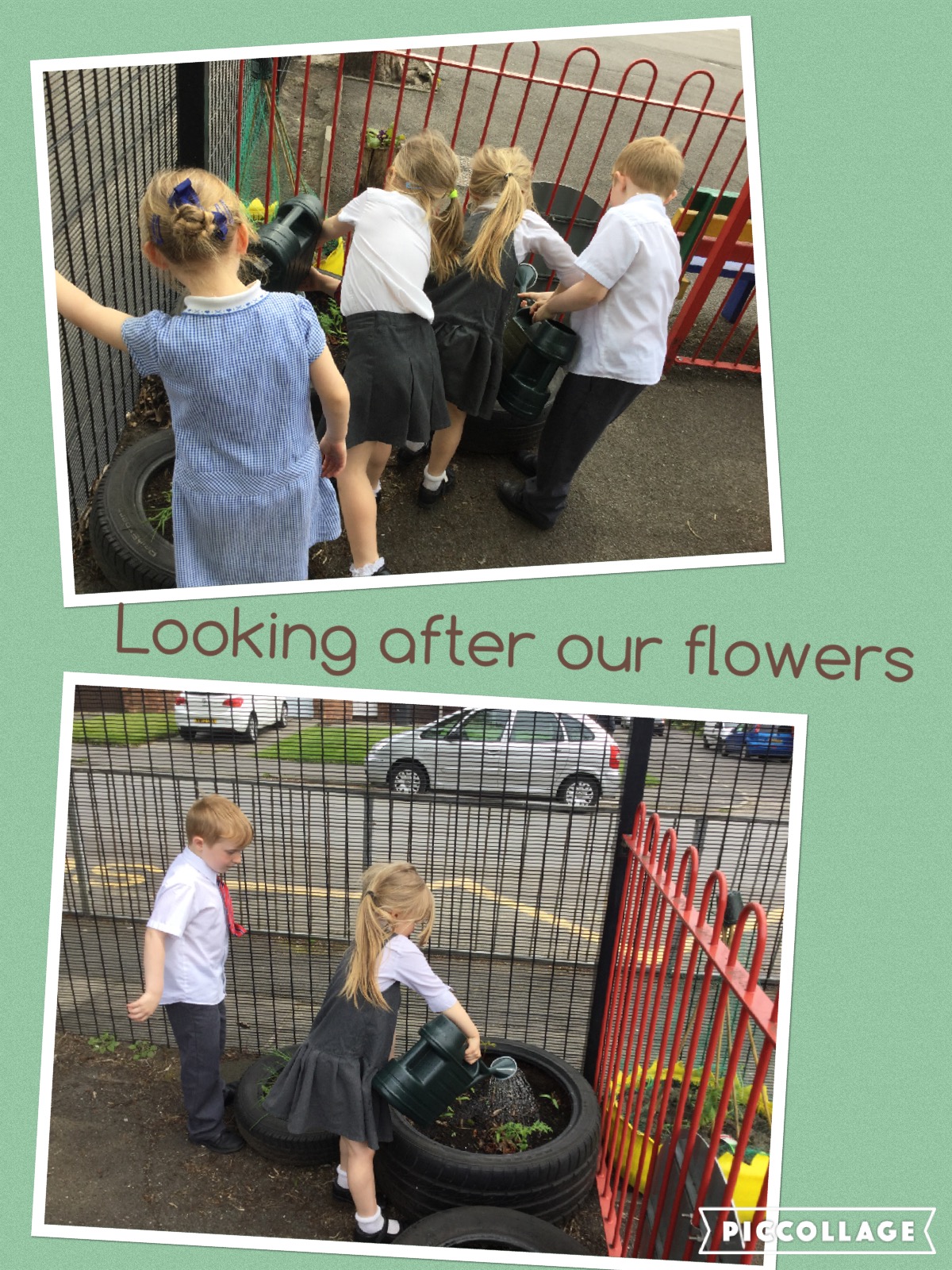 Image of Year 1's Garden