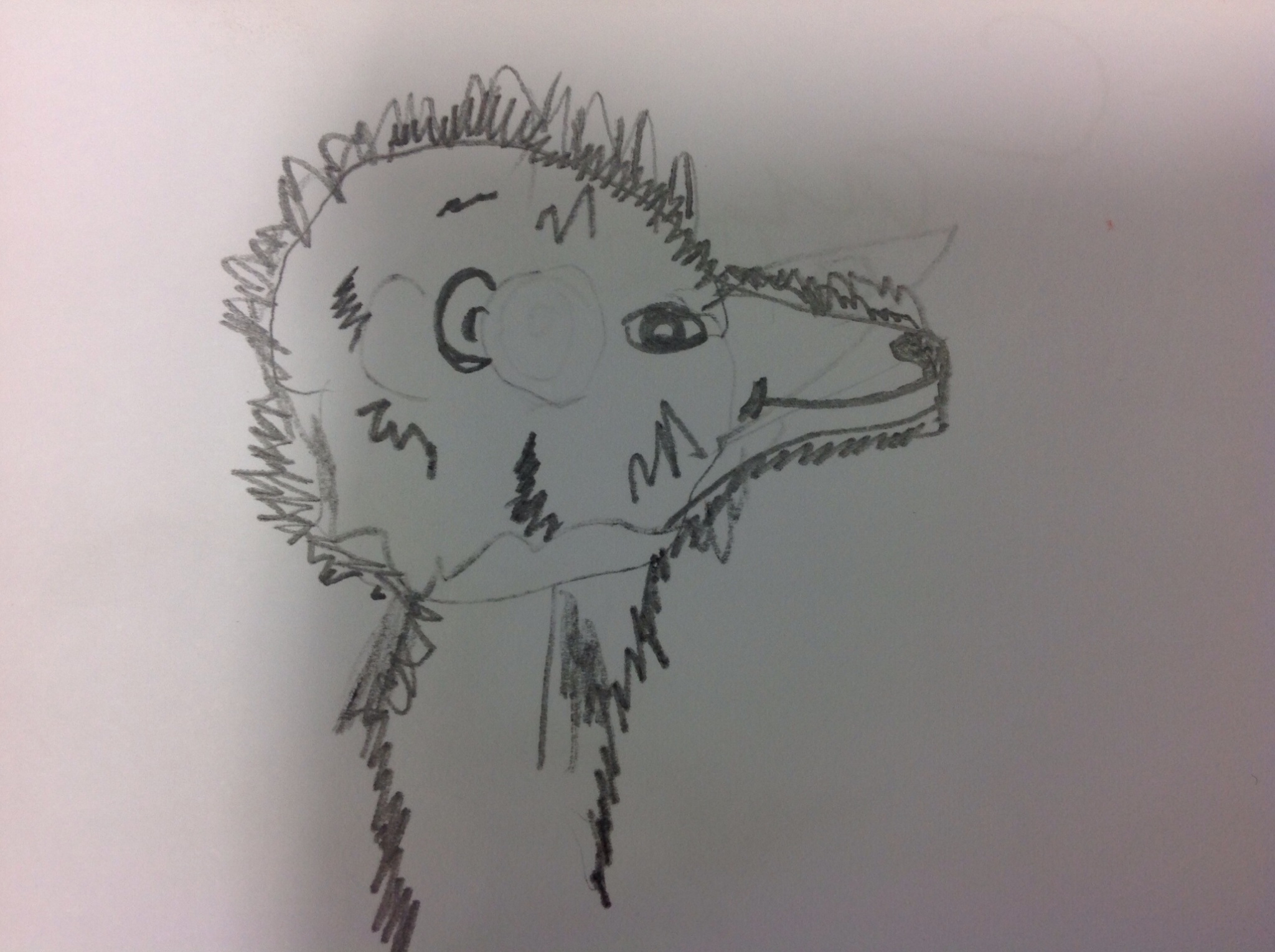 Image of Marvellous Meerkat sketches