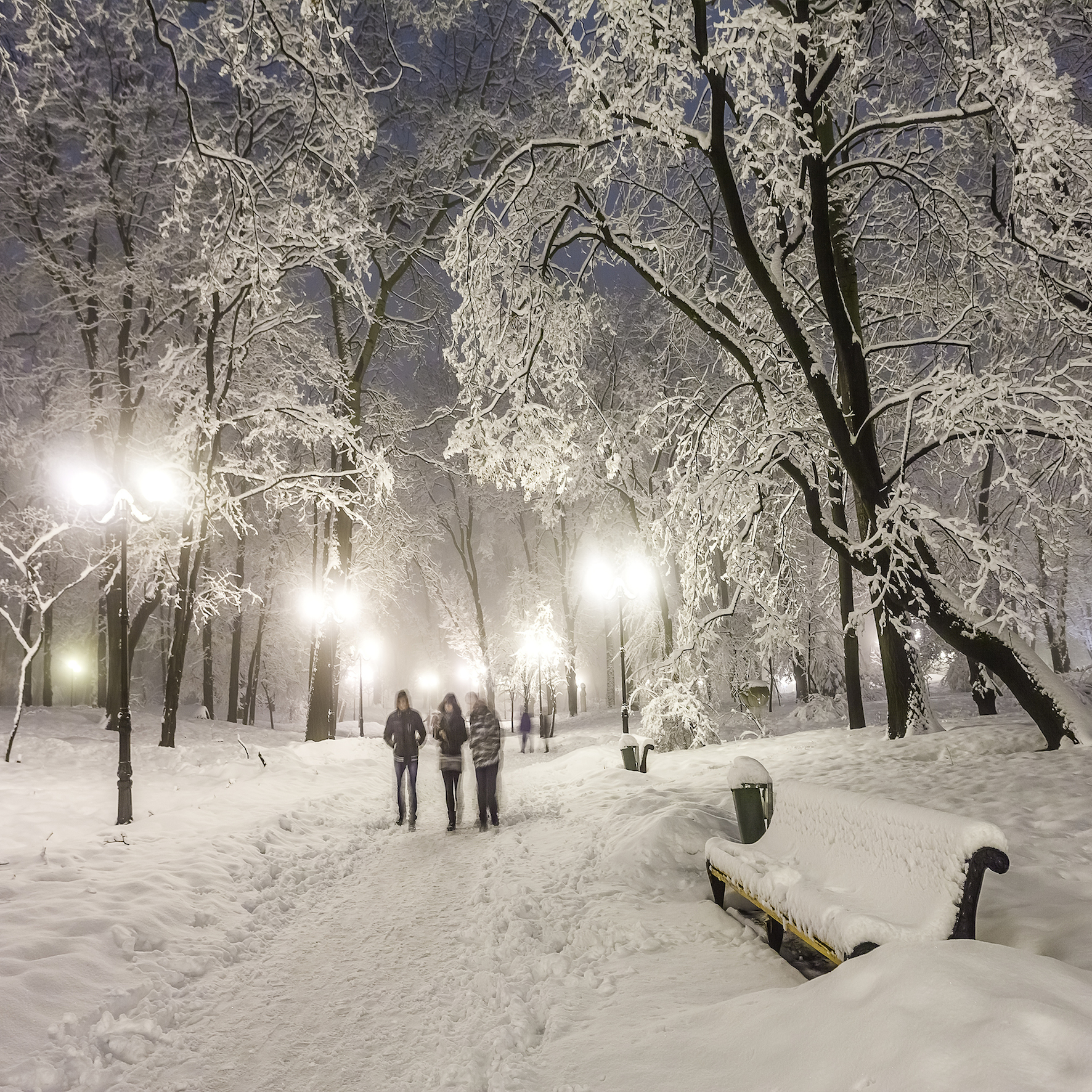 Image of Christmas Walk