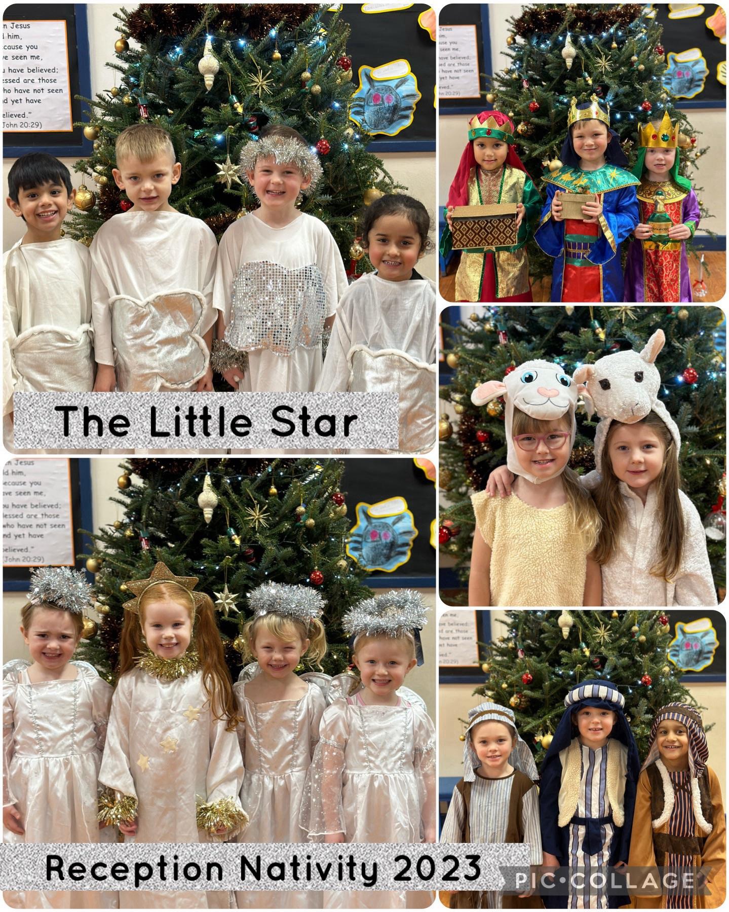 Image of Reception Nativity