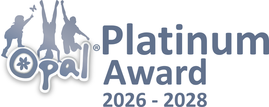 Image of 🌟 LET’S CELEBRATE PLAY – WE’RE PLATINUM! 🌟