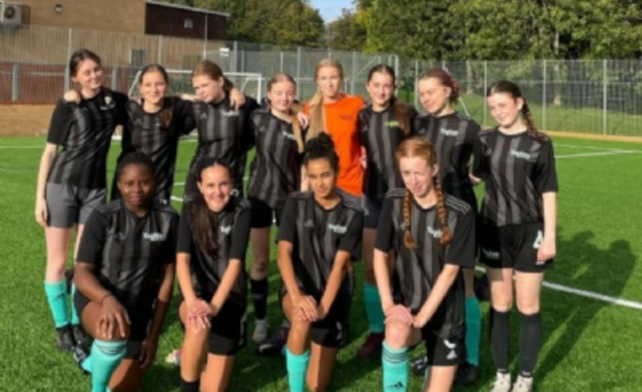 Image of Y10/11 Team Progress to 3rd Round of English Schools!