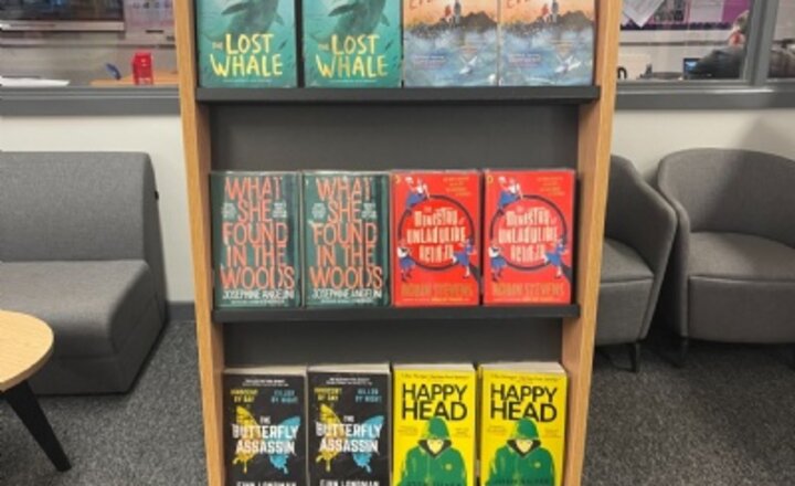 Image of Tapton Library Update