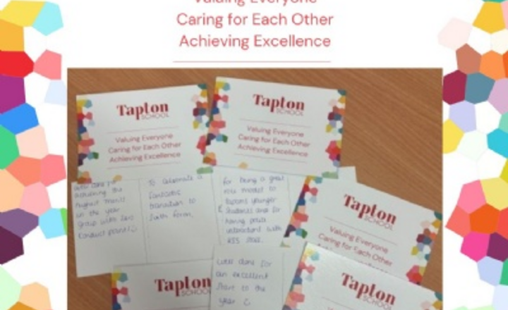 Image of SLT Pastries & Postcards