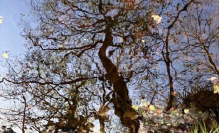 Image of North West+ Phone Photography Competition