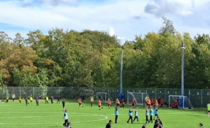 Image of Structured Sports