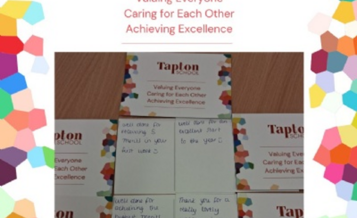 Image of SLT Pastries & Postcards