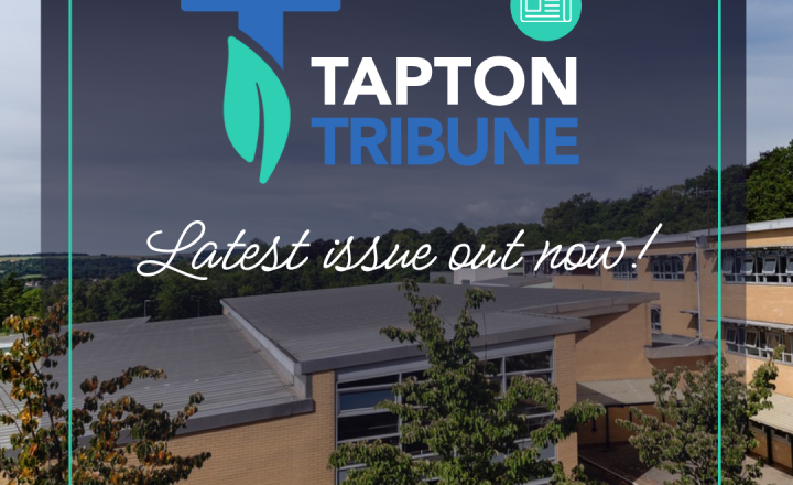 Image of Tapton Tribune Issue 20 is Here!