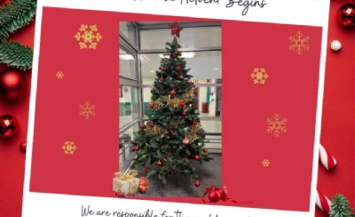 Image of Our Christmas Tree is Up... and our Reverse Advent Begins!